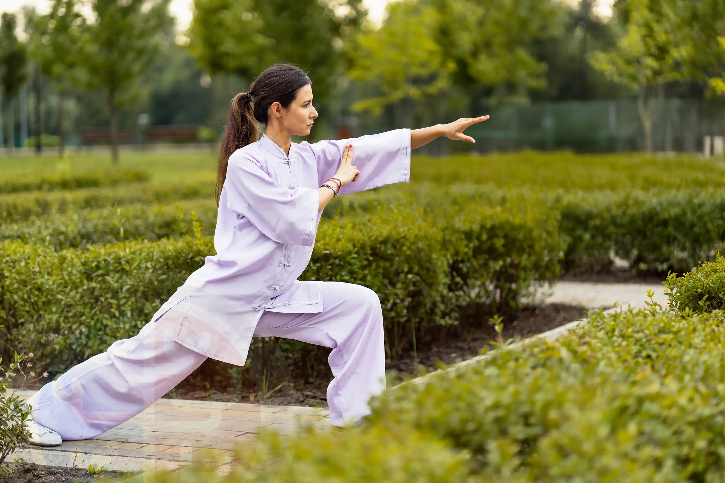 Tai Chi Quan Zen Chi Zone
